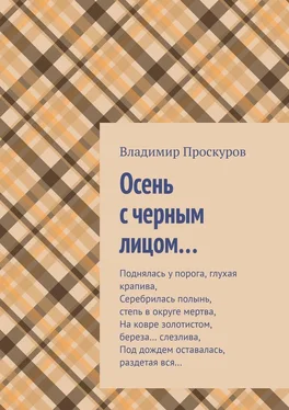 Владимир Проскуров Осень с черным лицом… обложка книги