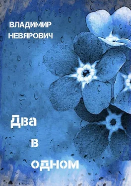 Владимир Невярович Два в одном. Поэзия обложка книги