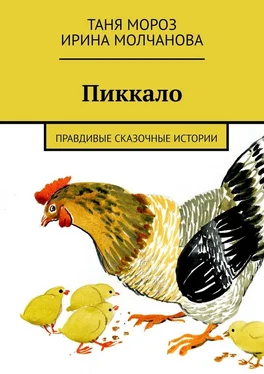 Ирина Молчанова Пиккало. Правдивые сказочные истории обложка книги