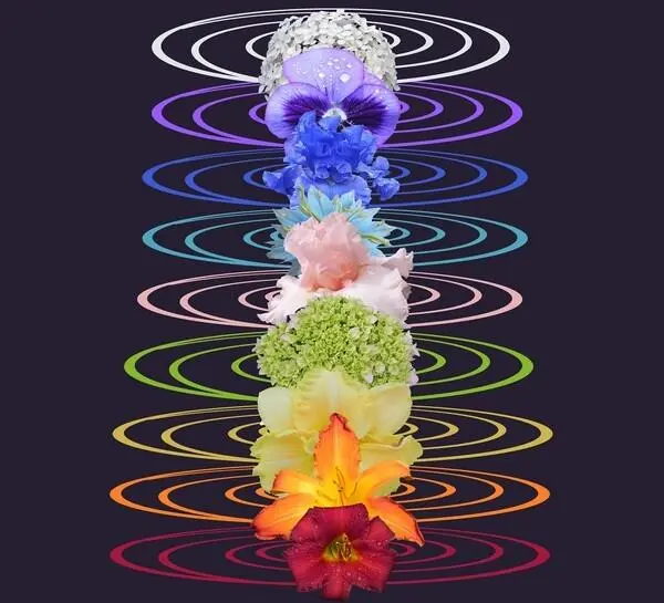 The main chakras rising from the bottom are Muladhara Root chakra with four - фото 2