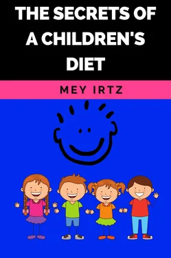 Mey Irtz The Secrets of a Children's Diet обложка книги