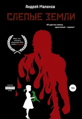 Андрей Малахов - Слепые земли