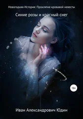 Иван Юдин - Новогодняя история. Проклятие кровавой невесты