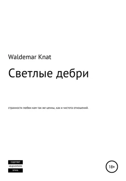 Waldemar Knat Светлые дебри обложка книги