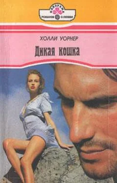 Холли Уорнер Дикая кошка обложка книги