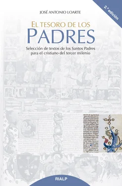 José Antonio Loarte González El tesoro de los Padres обложка книги