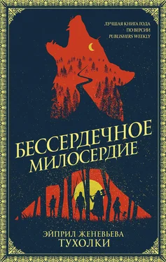 Эйприл Женевьева Тухолки Бессердечное милосердие обложка книги