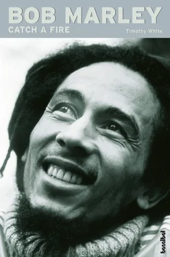 Timothy White Bob Marley - Catch a Fire обложка книги
