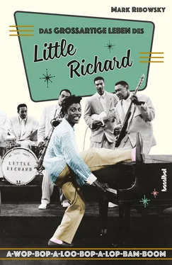 Mark Ribowsky Das großartige Leben des Little Richard обложка книги