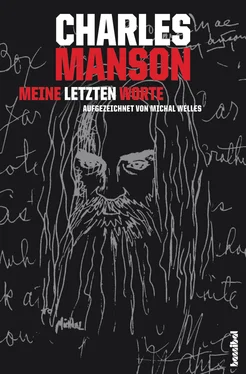 Michal Welles Charles Manson - Meine letzten Worte обложка книги