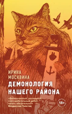 Ирина Москвина Демонология нашего района обложка книги