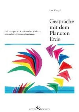 Ute Wimpff Gespräche mit dem Planeten Erde обложка книги