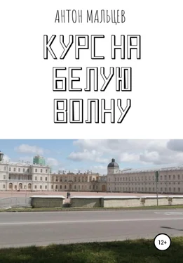 Антон Мальцев Курс на белую волну обложка книги