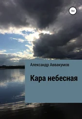 Александр Аввакумов - Кара небесная