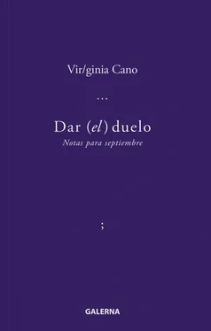 Virginia Cano Dar (el) duelo обложка книги