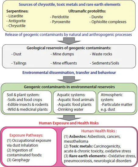 Figure 11 Summary of the nature environmental sources and human exposure and - фото 2