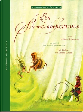 Barbara Kindermann Ein Sommernachtstraum обложка книги