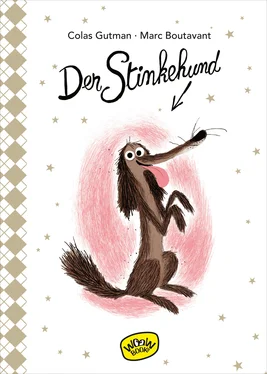 Colas Gutman Der Stinkehund (Bd. 1) обложка книги