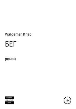 Waldemar Knat Бег обложка книги