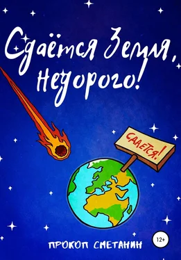 Прокоп Сметанин Сдаётся Земля, недорого! обложка книги