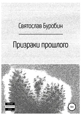 Святослав Буробин Призраки прошлого обложка книги