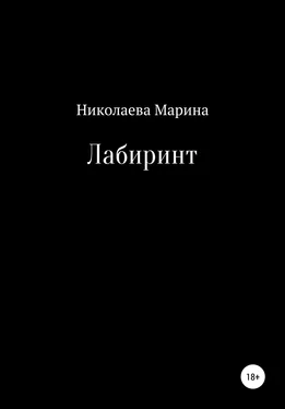Марина Николаева Лабиринт обложка книги