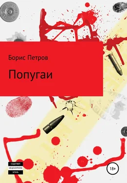 Борис Петров Попугаи обложка книги