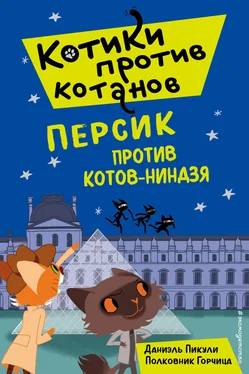 Даниэль Пикули Персик против котов-ниндзя обложка книги