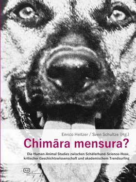 Неизвестный Автор Chimära mensura? обложка книги