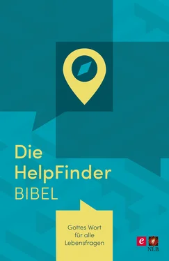 SCM R.Brockhaus Die HelpFinder Bibel обложка книги