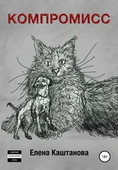 Елена Каштанова - Компромисс