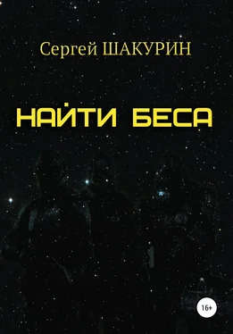 Сергей Шакурин Найти Беса обложка книги