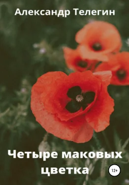 Александр Телегин Четыре маковых цветка обложка книги
