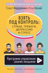 Илья Качай - Взять под контроль - страхи, тревоги, депрессию и стресс. Программа управления своими эмоциями