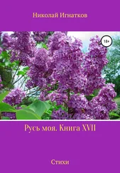 Николай Игнатков - Русь моя. Книга 17