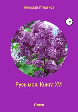 Николай Игнатков Русь моя. Книга 16 обложка книги