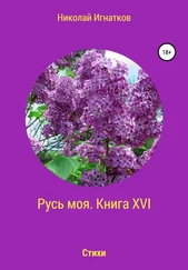 Николай Игнатков - Русь моя. Книга 16