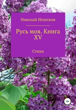 Николай Игнатков Русь моя. Книга 15 обложка книги