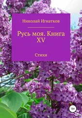 Николай Игнатков - Русь моя. Книга 15
