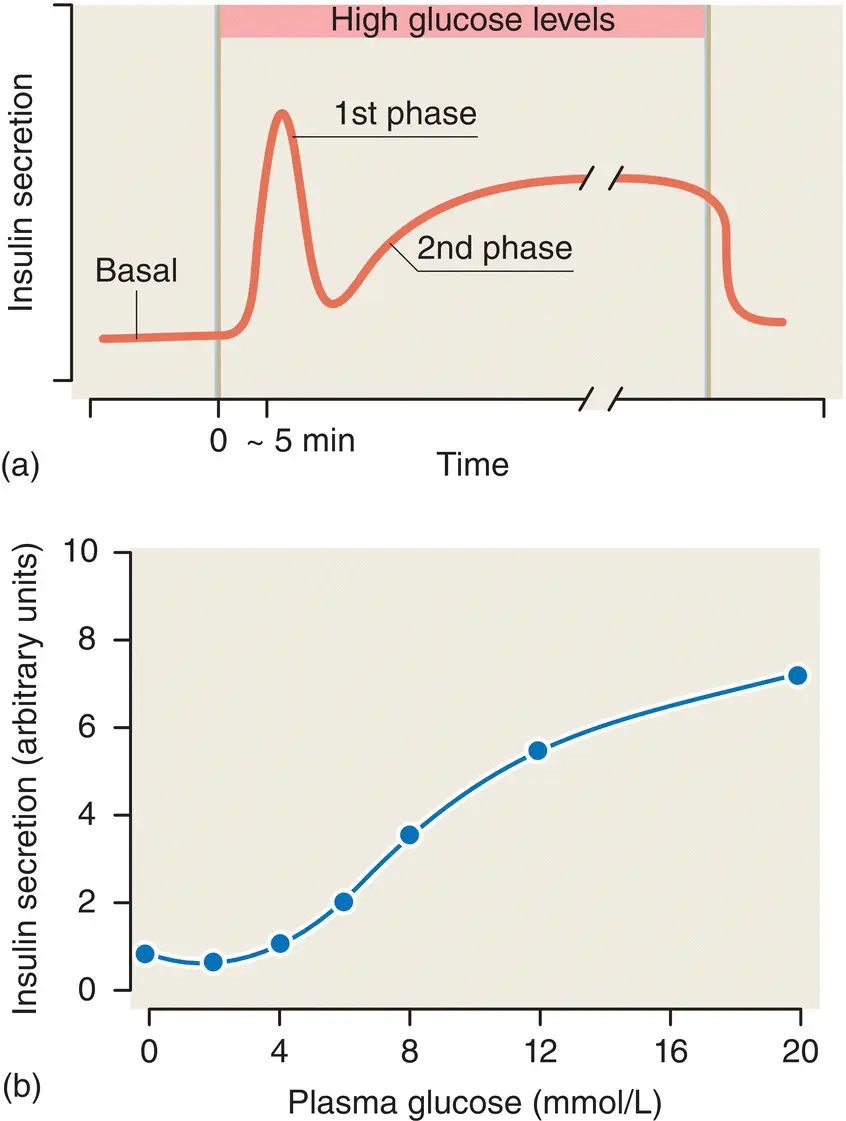 Figure 511 a The biphasic glucosestimulated release of insulin from - фото 43