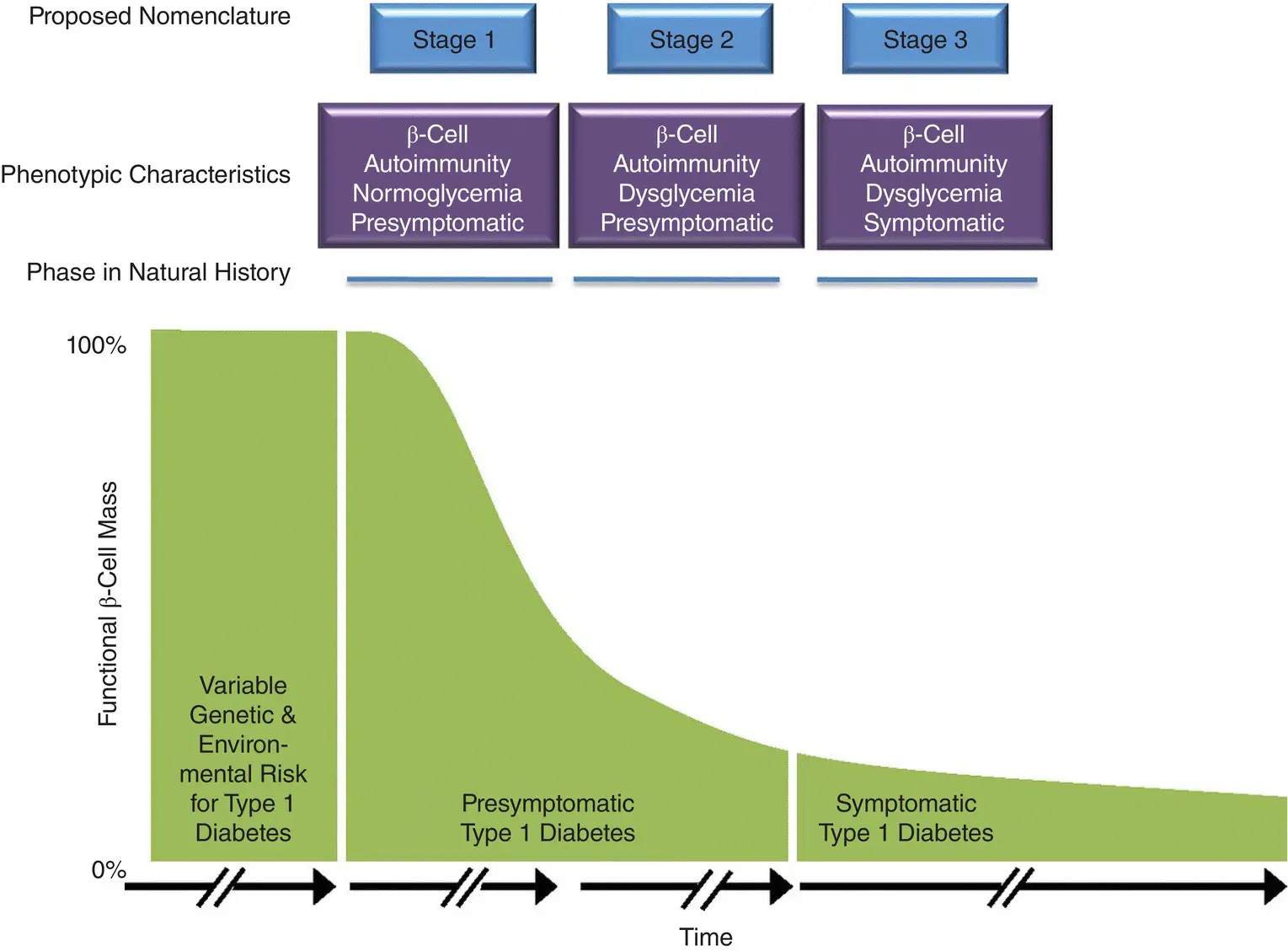 Figure 69 Stages of Type 1 Diabetes as proposed by the Juvenile Diabetes - фото 61