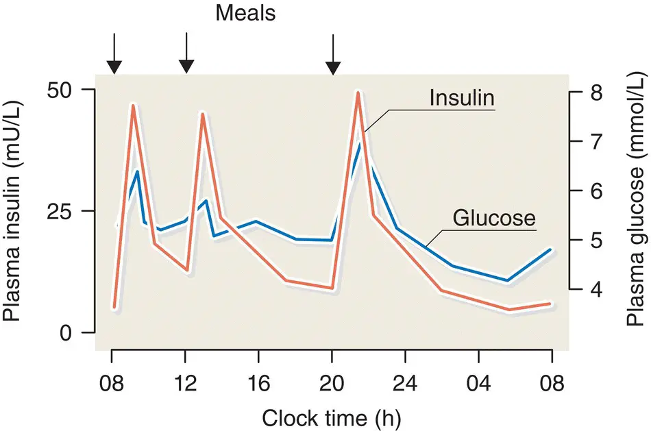 Figure 519 Profiles of plasma glucose and insulin concentrations in - фото 51