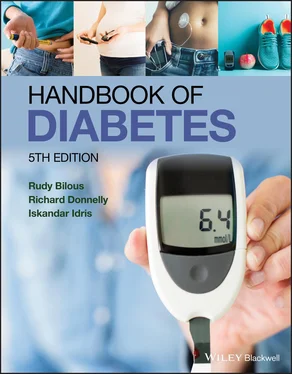 Rudy Bilous Handbook of Diabetes обложка книги