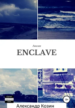 Александр Козин Enclave обложка книги