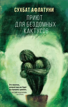 Сухбат Афлатуни Приют для бездомных кактусов обложка книги