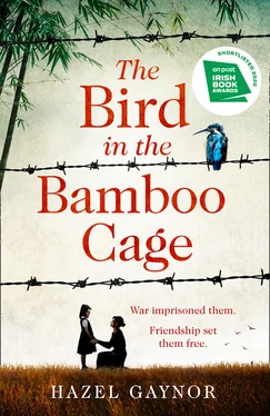 Hazel Gaynor The Bird in the Bamboo Cage обложка книги