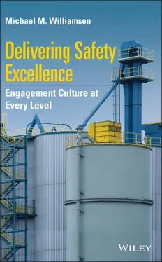 Michael M. Williamsen Delivering Safety Excellence обложка книги