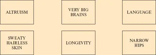 How Do Humans Vary The Concept of Race and a Critique of the Concept - фото 7