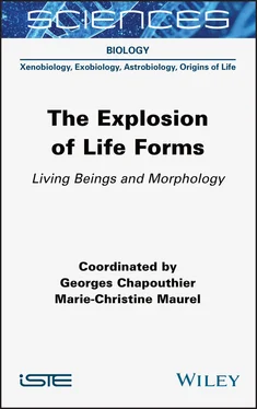 Неизвестный Автор The Explosion of Life Forms обложка книги