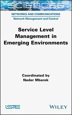 Nader Mbarek Service Level Management in Emerging Environments обложка книги